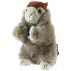 Murmeltier Plüschtier - 20cm 